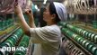 Trump tariffs: China warns nations against 'appeasing' US in trade deals Trump tariffs: China warns nations against 'appeasing' US in trade deals