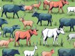Managing PHP Versions with Laravel Herd Managing PHP Versions with Laravel Herd