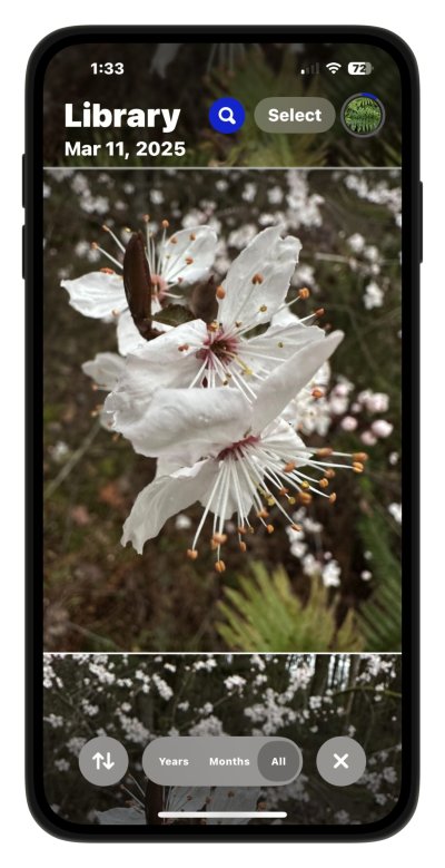 How to Change Photos Thumbnail Sizes on iPhone & iPad How to Change Photos Thumbnail Sizes on iPhone & iPad
